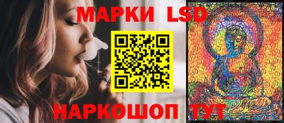 прущие грибы Будённовск