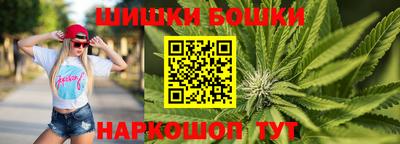 прущие грибы Будённовск