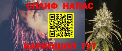 прущие грибы Будённовск