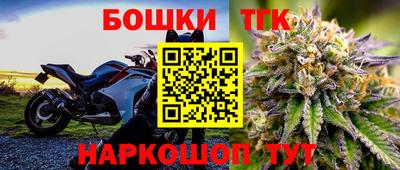 прущие грибы Будённовск