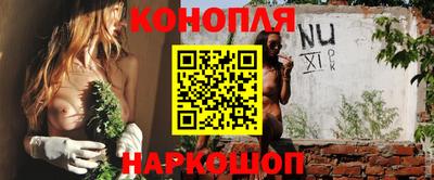 прущие грибы Будённовск