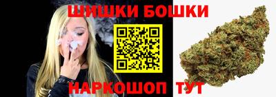 прущие грибы Будённовск
